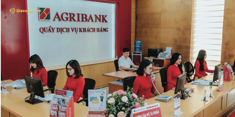 Thủ tục đổi tiền đô tại ngân hàng Agribank