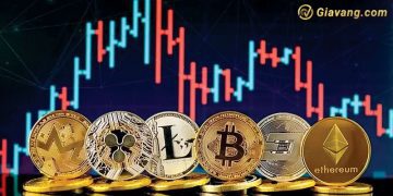 Crypto là nạn nhân giữa các giữa mâu thuẫn phi tập trung và tập trung 2 Crypto là nạn nhân giữa các giữa mâu thuẫn phi tập trung và tập trung