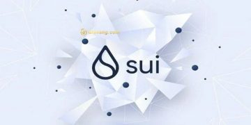 SUI là gì? SUI coin có tiềm năng để đầu tư không? 2 SUI là gì? SUI coin có tiềm năng để đầu tư không?