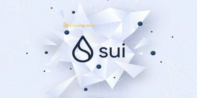 SUI là gì? SUI coin có tiềm năng để đầu tư không?