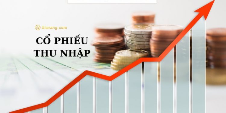 Cổ phiếu thu nhập là gì? Chiến lược đầu tư hiệu quả nhất 2023