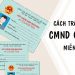 Cách tra cứu số chứng minh nhân dân online đơn giản, nhanh chóng