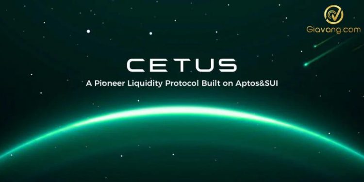 Cetus Protocol là gì? Có nên đầu tư vào CETUS Token?