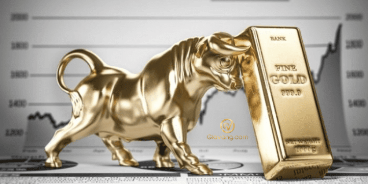 Dự báo giá vàng