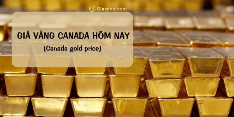 Giá vàng Canada hôm nay bao nhiêu? 1g vàng ở Canada giá bao nhiêu? 1 Giá vàng Canada hôm nay bao nhiêu? 1g vàng ở Canada giá bao nhiêu?