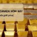 Giá vàng Canada hôm nay bao nhiêu? 1g vàng ở Canada giá bao nhiêu?