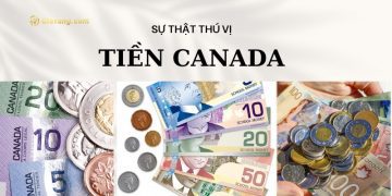 6 sự thật thú vị về tiền Canada, bạn đã biết chưa? 3 6 sự thật thú vị về tiền Canada, bạn đã biết chưa?