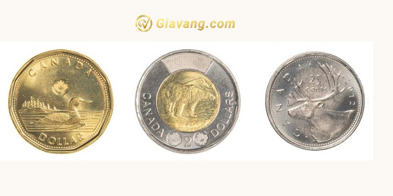Sự thật thú vị về tiền Canada