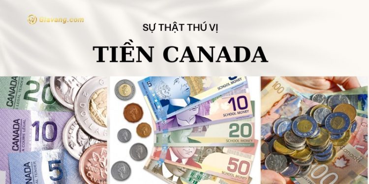 6 sự thật thú vị về tiền Canada, bạn đã biết chưa? 1 6 sự thật thú vị về tiền Canada, bạn đã biết chưa?
