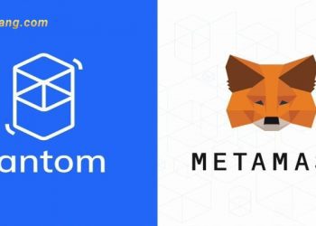 Cách thêm mạng Fantom vào Metamask chỉ vài thao tác