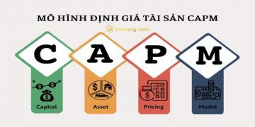 Mô hình Capm là gì? Nhược điểm của mô hình Capm