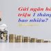 100 triệu gửi tiết kiệm ngân hàng lãi bao nhiêu? Cách tính chi tiết