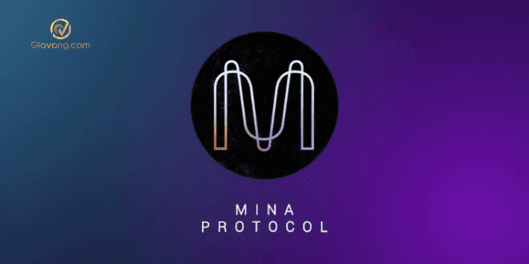 Mina Protocol (MINA) là gì? Tìm hiểu về tiền điện tử MINA Token 1 Mina Protocol
