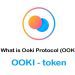 Ooki Protocol (Ooki) là gì? Coin OOKI có tiềm năng không? 10 Ooki Protocol (Ooki) là gì? Giá Coin Ooki hôm nay bao nhiêu?