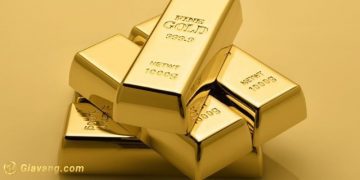 Giá vàng trong nước hôm nay 19/8/2023: Vàng SJC biến động nhẹ 6 Giá vàng trong nước hôm nay 19/8/2023: Vàng SJC biến động nhẹ