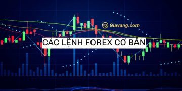 Lệnh Forex là gì? Cách sử dụng các loại lệnh forex chi tiết, dễ hiểu