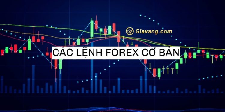 Lệnh Forex là gì? Cách sử dụng các loại lệnh forex chi tiết, dễ hiểu