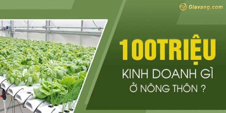 Vốn 100tr nên kinh doanh gì ở nông thôn là hiệu quả nhất?