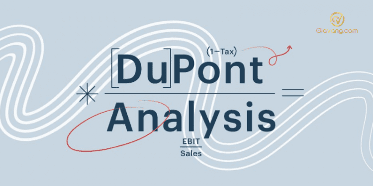Phân tích Dupont