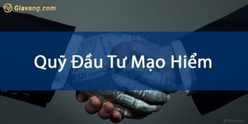Quỹ đầu tư mạo hiểm là gì? Các quỹ đầu tư mạo hiểm ở Việt Nam