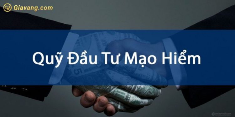 Quỹ đầu tư mạo hiểm là gì? Các quỹ đầu tư mạo hiểm ở Việt Nam