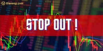 Stop Out là gì? Cách tính Stop Out trong Forex chuẩn xác nhất