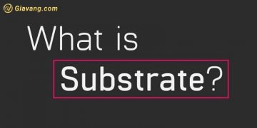 Substrate là gì? Tầm quan trọng của Substrate trong Polkadot 3 Substrate là gì? Tầm quan trọng của Substrate trong Polkadot