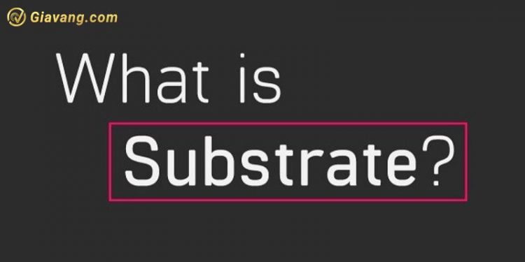 Substrate là gì? Tầm quan trọng của Substrate trong Polkadot 1 Substrate là gì? Tầm quan trọng của Substrate trong Polkadot