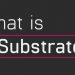 Substrate là gì? Tầm quan trọng của Substrate trong Polkadot 11 Substrate là gì? Tầm quan trọng của Substrate trong Polkadot
