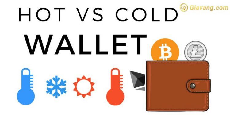 Ví nóng là gì? Top những ví nóng tốt nhất trên thị trường hiện nay