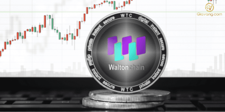 WTC Coin là gì? Hướng dẫn cách sở hữu WTC Coin  1 WTC Coin