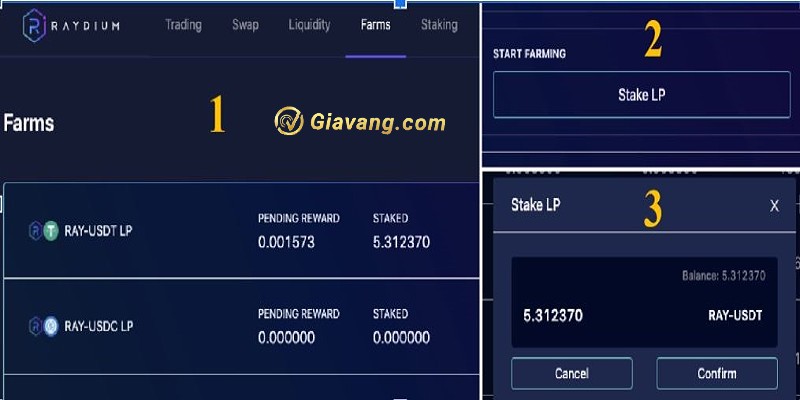 Hướng dẫn Yield Farming trên Raydium