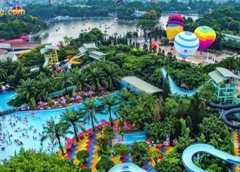 Cổ phiếu DSN hôm nay bao nhiêu? Lịch sử giá cổ phiếu DSN