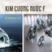 Kim cương nước F là gì? Nên mua kim cương nước E hay F?