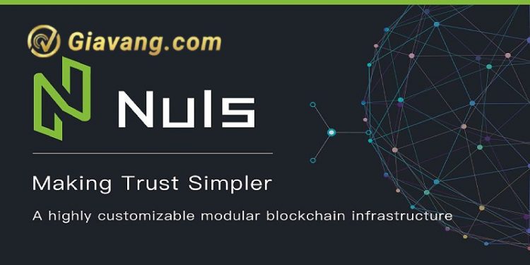 NULS coin là gì? Tiềm năng phát triển của NULS trong tương lai 1 NULS coin là gì? Tiềm năng phát triển của NULS trong tương lai