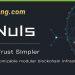 NULS coin là gì? Tiềm năng phát triển của NULS trong tương lai 7 NULS coin là gì? Tiềm năng phát triển của NULS trong tương lai