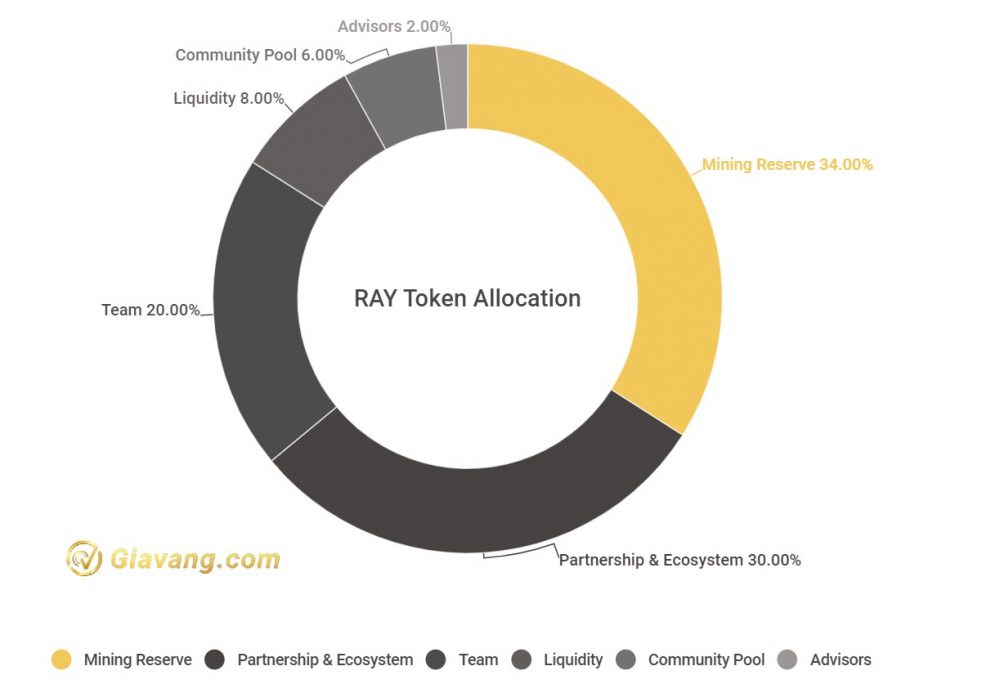 RAY Token Allocation