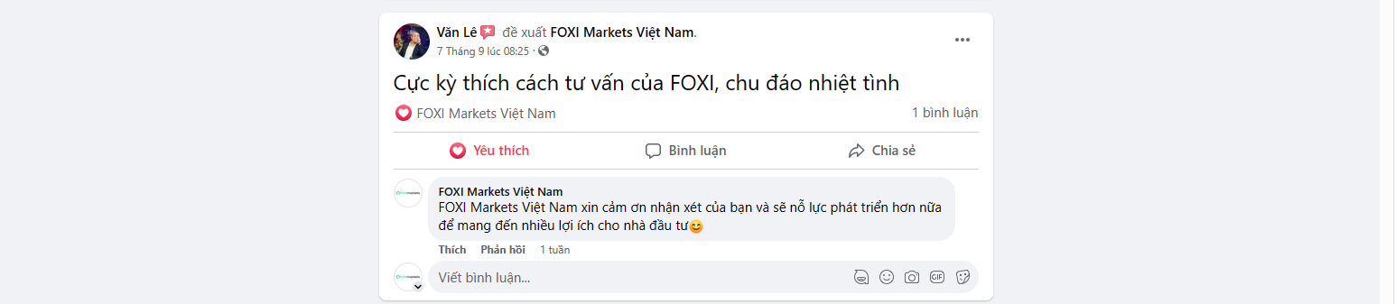 review San FOXI Markets 2