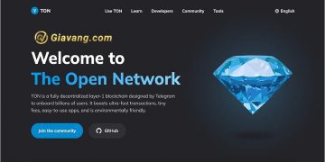 The Open Network là gì? Có nên đầu tư TON token Telegram không? 2 The Open Network là gì? Có nên đầu tư TON token Telegram không?