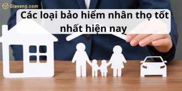 Tổng hợp các loại bảo hiểm nhân thọ tốt nhất hiện nay 9 Tổng hợp các loại bảo hiểm nhân thọ tốt nhất hiện nay