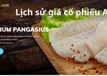 Lịch sử giá cổ phiếu AAM - Giới thiệu về CTCP Thủy sản Mekong