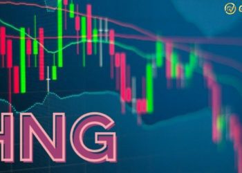 Giá cổ phiếu HNG hôm nay - Tiềm năng cổ phiếu HNG trong tương lai