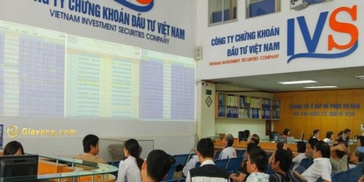 Bảng giá cổ phiếu IVS hôm nay - Giới thiệu về công ty chứng khoán IVS 1 Bảng giá cổ phiếu IVS hôm nay - Giới thiệu về công ty chứng khoán IVS