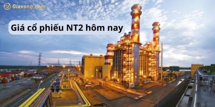 Giá cổ phiếu NT2 hôm nay - Tiềm năng cổ phiếu NT2 trong tương lai