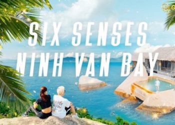 Giá cổ phiếu NVT hôm nay bao nhiêu? Lịch sử giá cổ phiếu NVT?