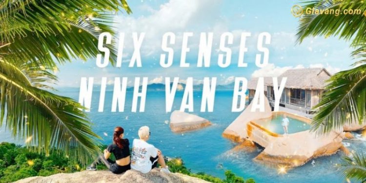 Giá cổ phiếu NVT hôm nay bao nhiêu? Lịch sử giá cổ phiếu NVT? 1 Giá cổ phiếu NVT hôm nay bao nhiêu? Lịch sử giá cổ phiếu NVT?