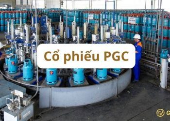 Cổ phiếu PGC hôm nay - Đánh giá cổ phiếu PGC theo các chuyên gia