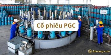 Cổ phiếu PGC hôm nay - Đánh giá cổ phiếu PGC theo các chuyên gia  2 Cổ phiếu PGC hôm nay - Đánh giá cổ phiếu PGC theo các chuyên gia