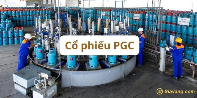 Cổ phiếu PGC hôm nay - Đánh giá cổ phiếu PGC theo các chuyên gia