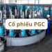 Cổ phiếu PGC hôm nay - Đánh giá cổ phiếu PGC theo các chuyên gia  6 Cổ phiếu PGC hôm nay - Đánh giá cổ phiếu PGC theo các chuyên gia
